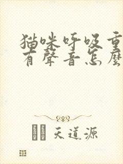 猫咪呼吸重喘气有声音怎么回事