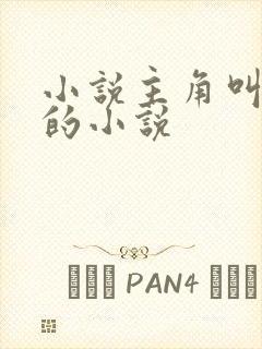 小说主角叫叶天的小说封面