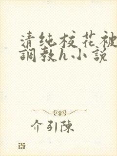 清纯校花被地狱调教h小说封面