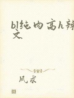 bl纯肉高h辣文