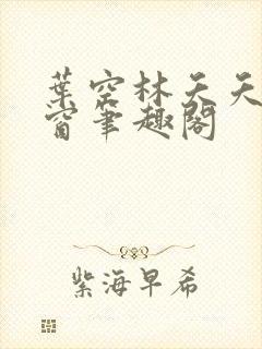 叶空林夭夭无弹窗笔趣阁