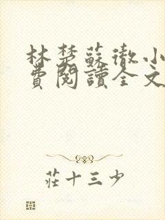 林楚苏彻小说免费阅读全文最新章节