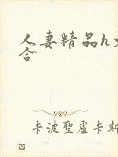 人妻精品h文综合