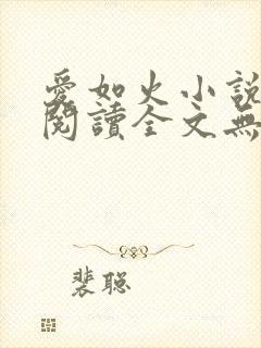 爱如火小说免费阅读全文无弹窗封面