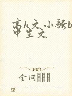 高h文小骚b高中生文封面