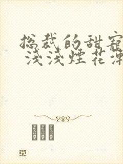 总裁的甜宠娇妻 浅浅烟花渐迷离