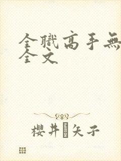 全职高手无删减全文