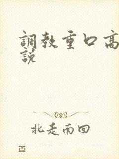 调教重口高h小说