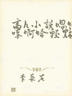 高h小说嗯哈嗯哼啊哈轻点