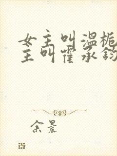 女主叫温栀南男主叫霍承钧的小说封面