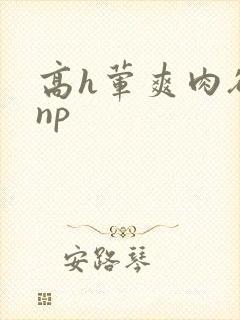 高h荤爽肉欲文np