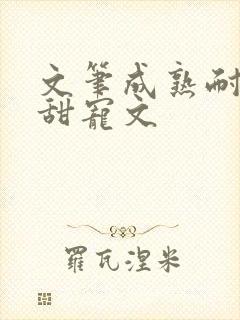 文笔成熟耐看的甜宠文