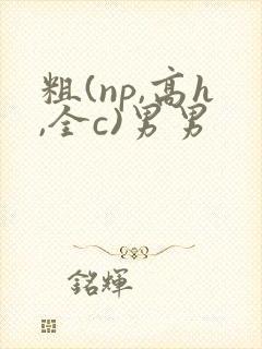 粗(np,高h,全c)男男封面