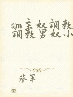 sm主奴调教:调教男奴小说