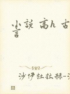 小说 高h 古言
