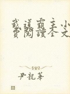 武道霸主小说免费阅读全文封面