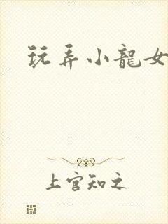 玩弄小龙女小说
