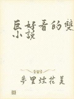 巨好看的双男主小说