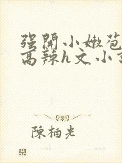 强开小嫩苞h文高辣h文小说