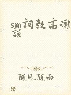 sm调教高潮小说
