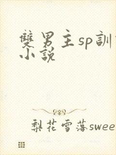 双男主sp训诫小说