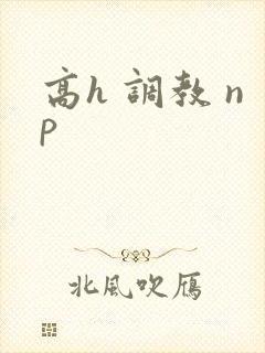高h 调教 np封面