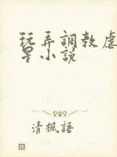 玩弄调教虐女明星小说