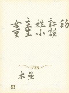 女主姓许的古代重生小说