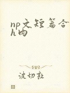 np文短篇合集h肉