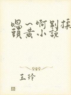 嗯～啊别揉我奶头黄小说