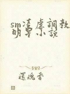 sm凌虐调教女明星小说
