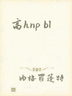高hnp bl封面