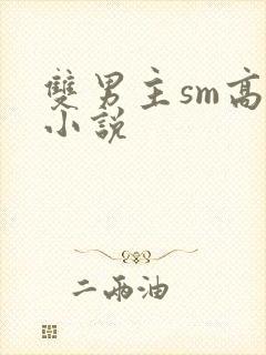 双男主sm高h小说