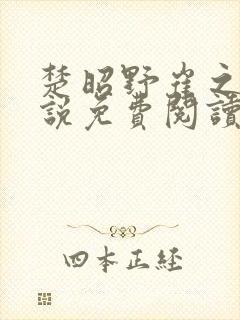 楚昭野崔之棠小说免费阅读最新章节封面