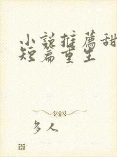 小说推荐甜宠文短篇重生