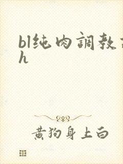 bl纯肉调教高h封面