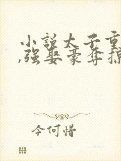 小说太子重生后,强娶豪夺掠我入东宫封面