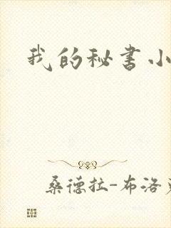 我的秘书小姐封面