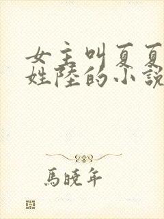 女主叫夏夏男主姓陆的小说