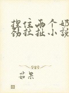 捏住两个奶头使劲拉扯小说