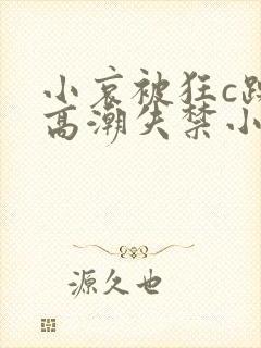 小哀被狂c躁到高潮失禁小说