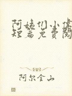 阿姨们小伟小说短篇免费阅读