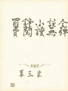 罗铮小说全文免费阅读无弹窗