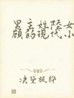 男主姓陆女主姓顾的现代小说