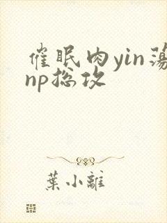 催眠肉yin荡np总攻