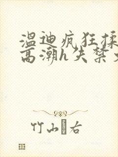 温迪疯狂揉肉蒂高潮h失禁文