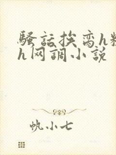 骚话挨脔h粗话h网调小说