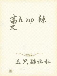 高h np 辣文