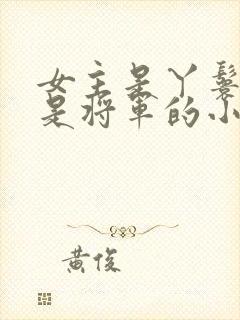 女主是丫鬟男主是将军的小说