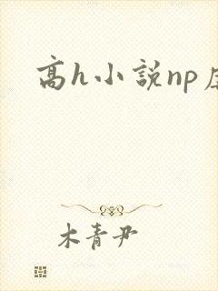 高h小说np虐封面